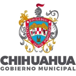 g_mChihuahua