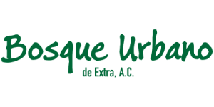 o_BosqueUrbano