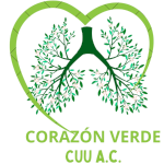 o_CorazonVernde